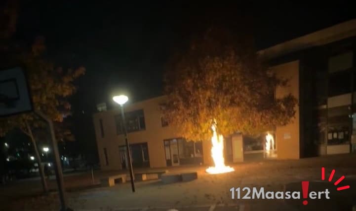 Boom in brand door vuurwerk bij school aan Breitnerstraat in Maassluis