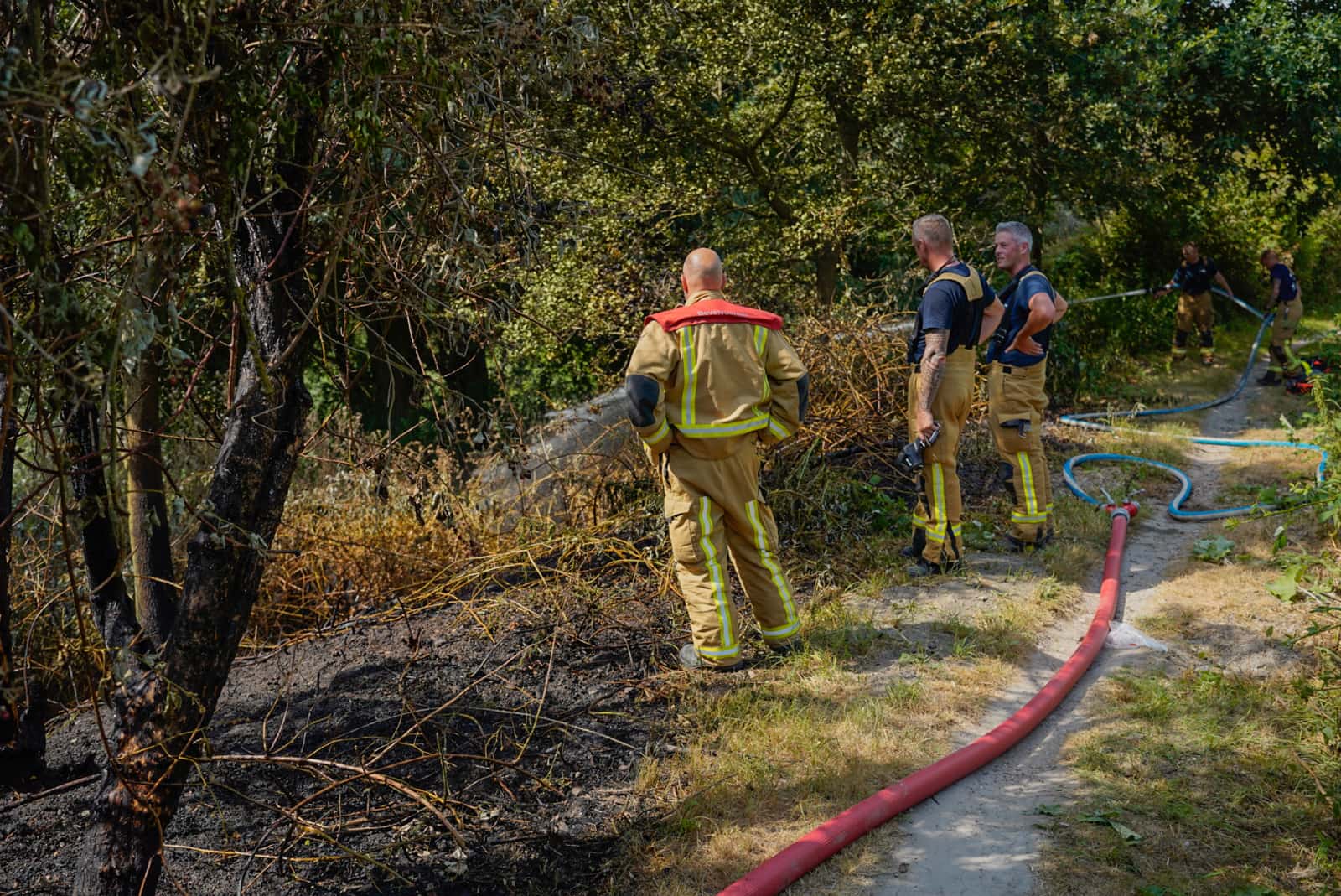 Flinke bermbrand in bosgebied langs de Broekpolderweg in Vlaardingen