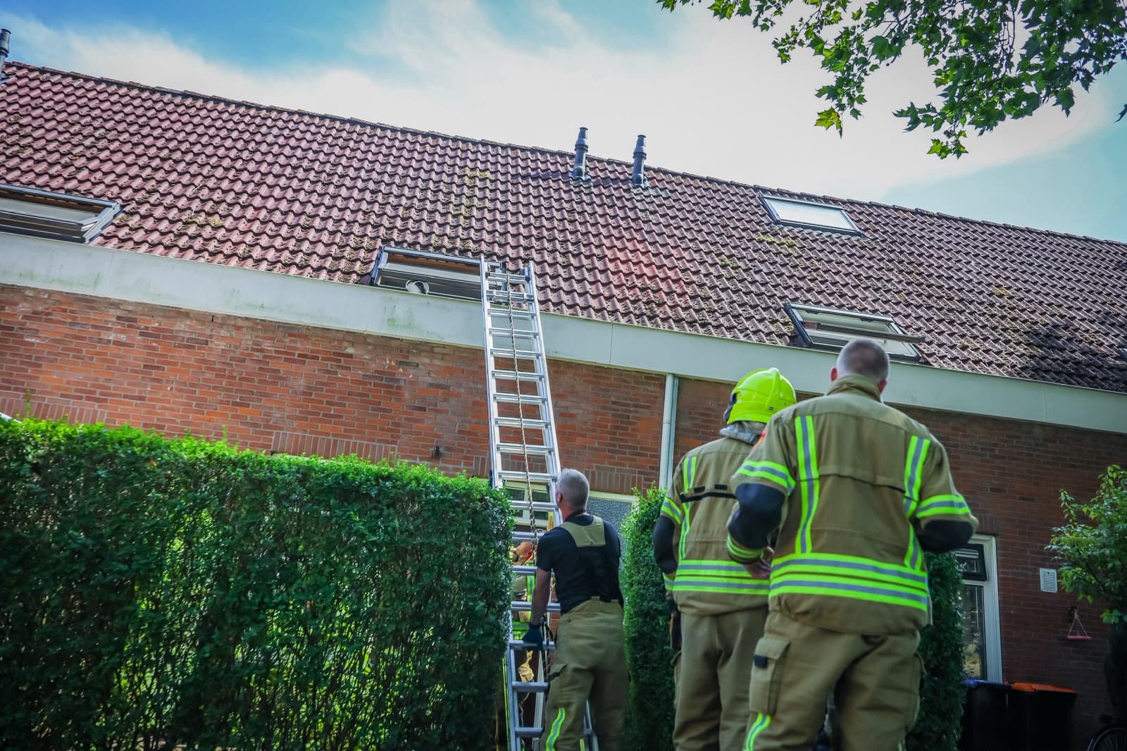 Kat vast in dakgoot aan de Weverskade maar springt er uit na aankomst brandweer