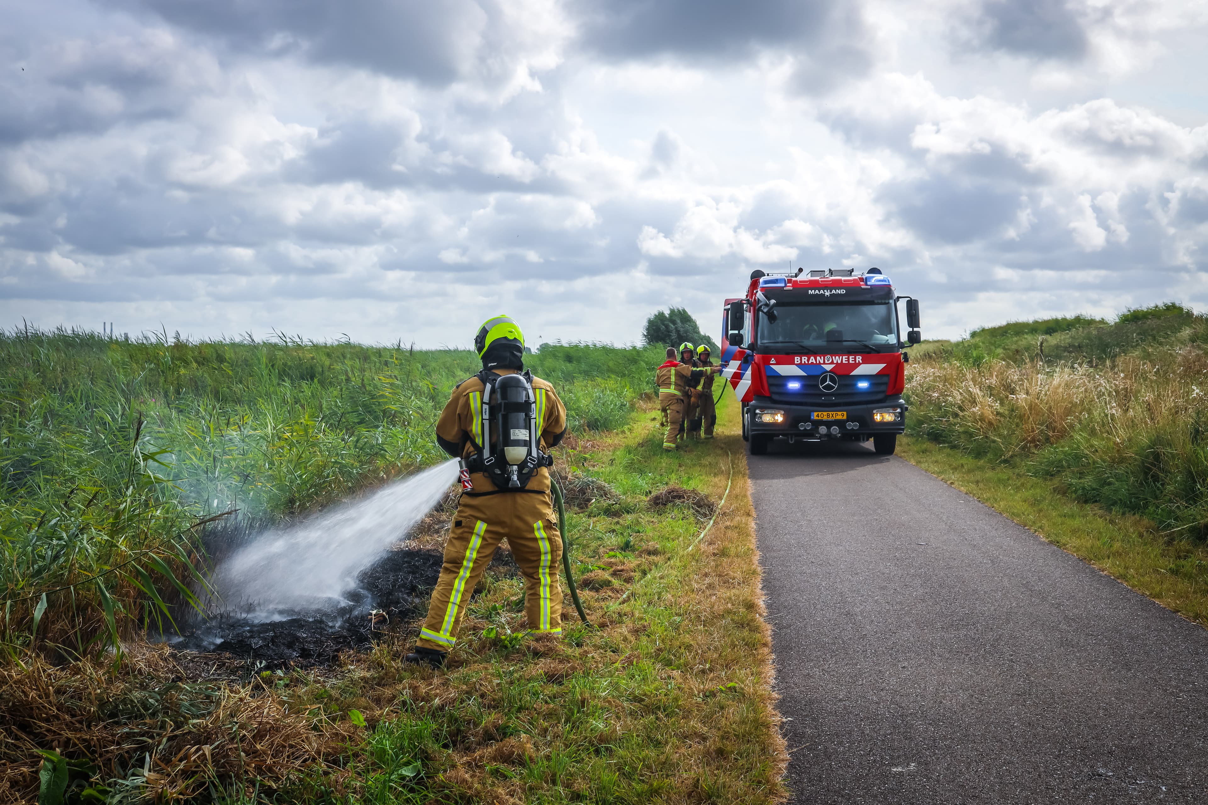 Rietbrand aan de Foppenplaskade in Maasland snel onder controle