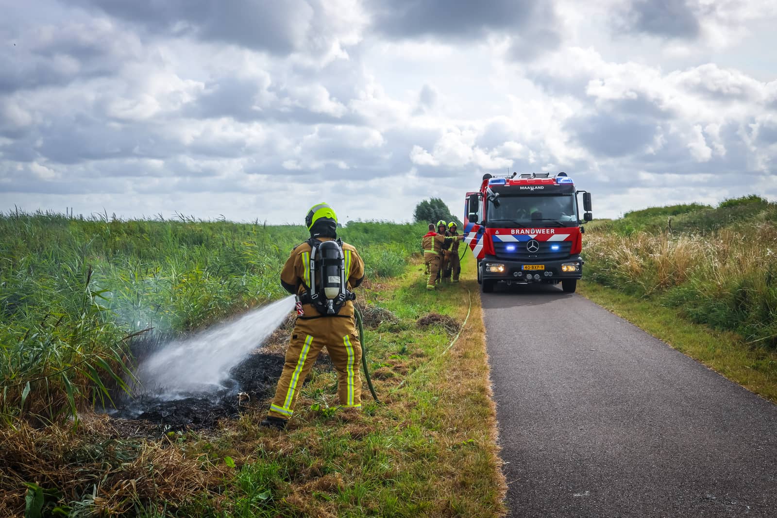 Rietbrand aan de Foppenplaskade in Maasland snel onder controle