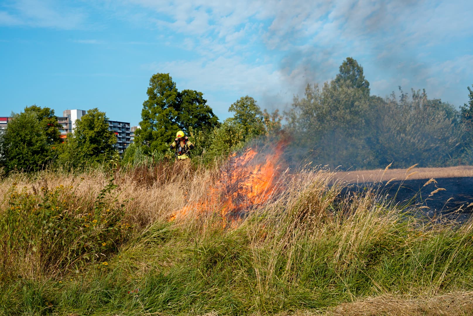 Veel rookontwikkeling bij brand op grasveld aan Bovenlangs in Schiedam