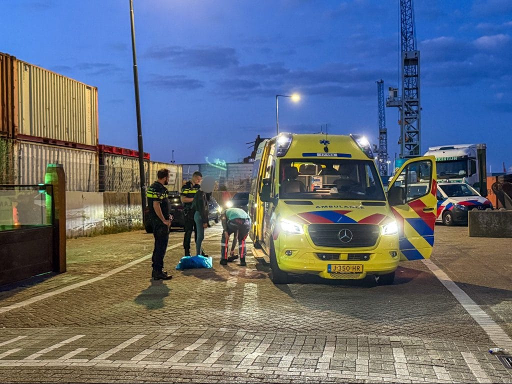 Persoon te water aan de Koningin Wilhelminahaven in Vlaardingen