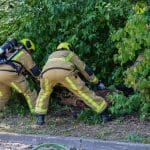 Boomstronk veroorzaakt lichte rookontwikkeling bij MVV ’27 in Maasland